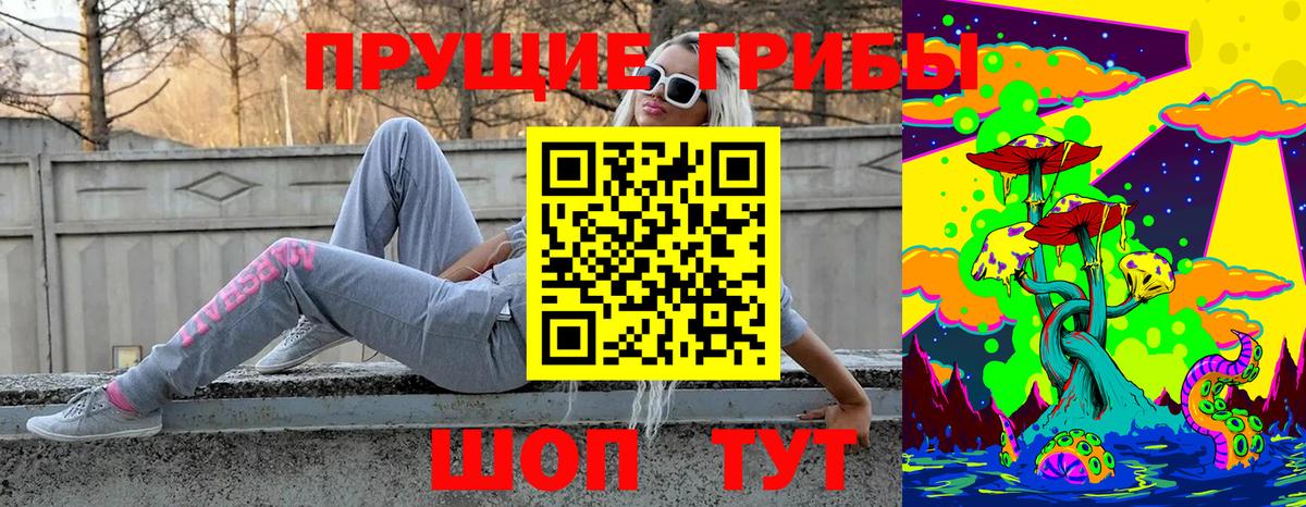 Псилоцибиновые грибы мицелий Благовещенск