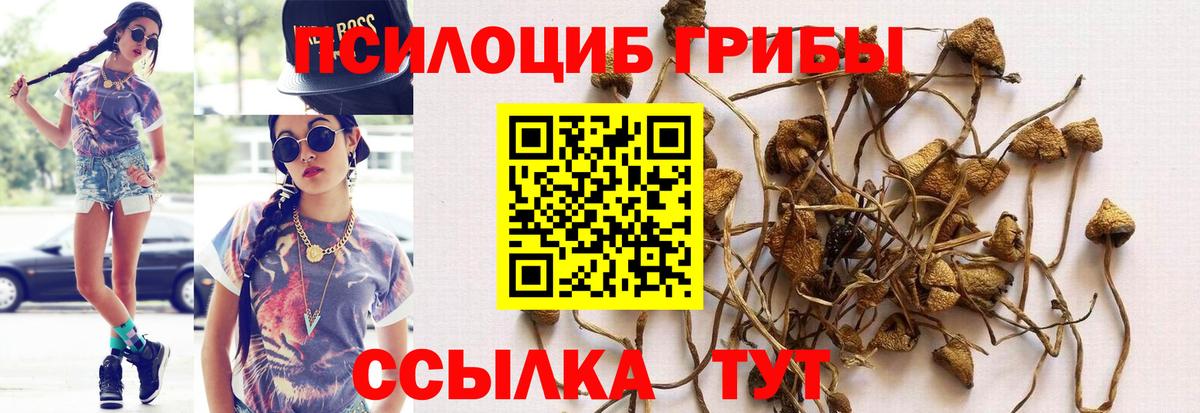 Галлюциногенные грибы мицелий  Вход с VPN  Благовещенск 
