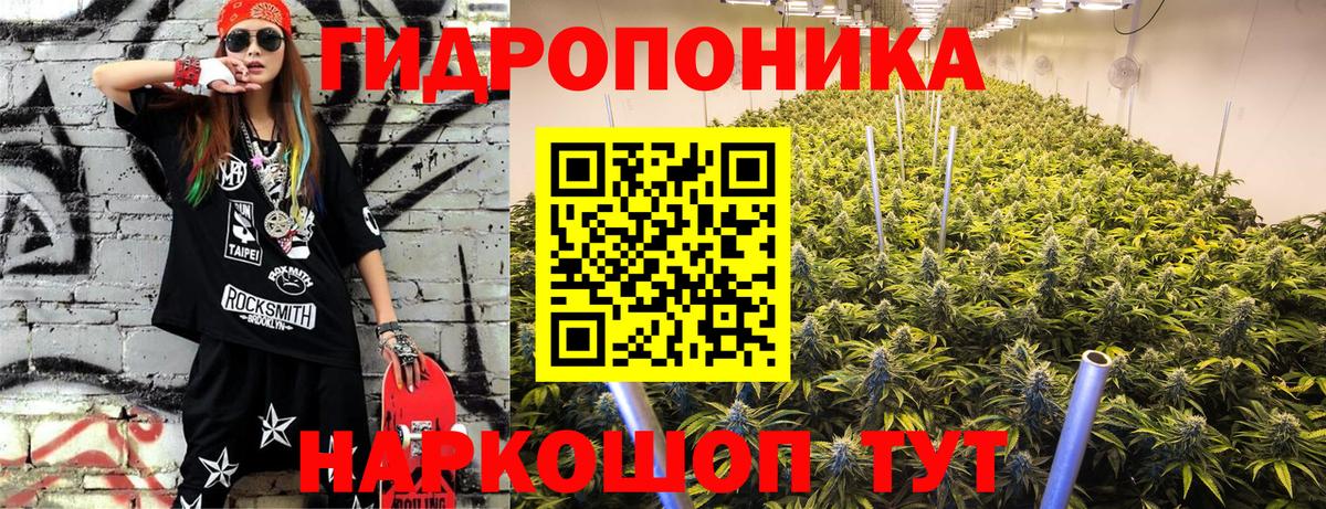 Бошки Шишки планчик Благовещенск